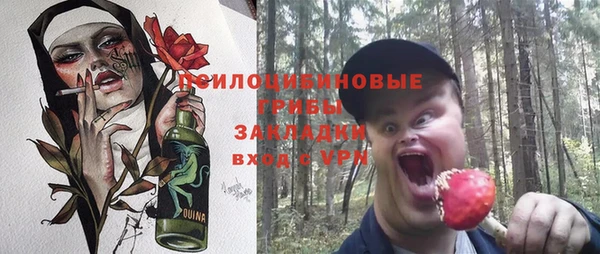 хмурый Карталы