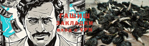герыч Каменка