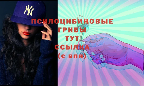 каннабис Каменногорск