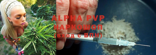 каннабис Каменногорск