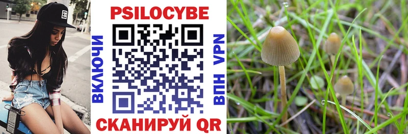 Купить  Ветлуга  Псилоцибиновые грибы Magic Shrooms 